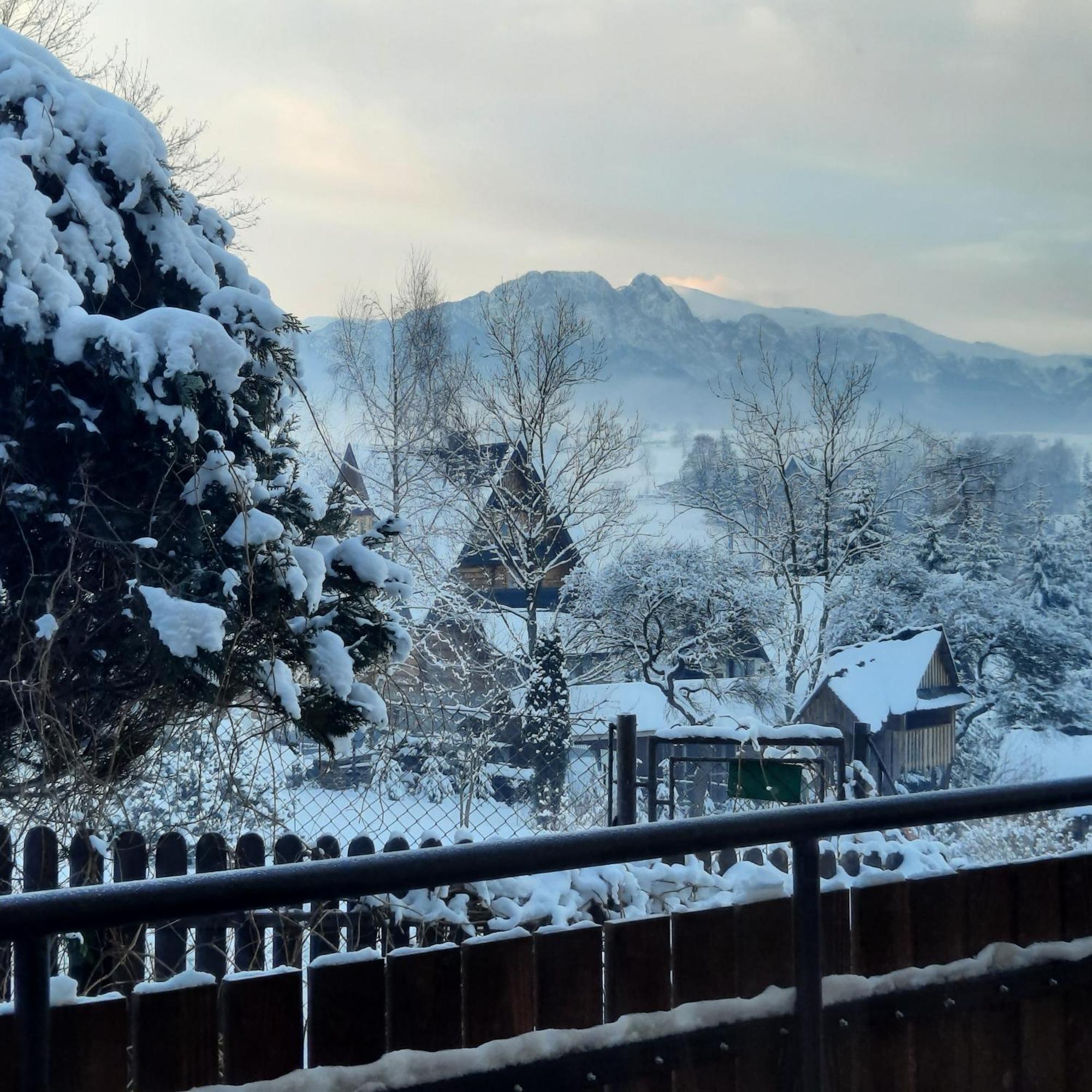 Willa U Bzyka Zakopane Exterior foto