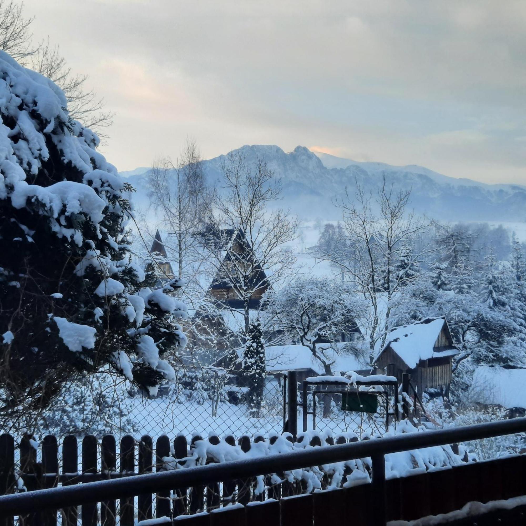 Willa U Bzyka Zakopane Exterior foto